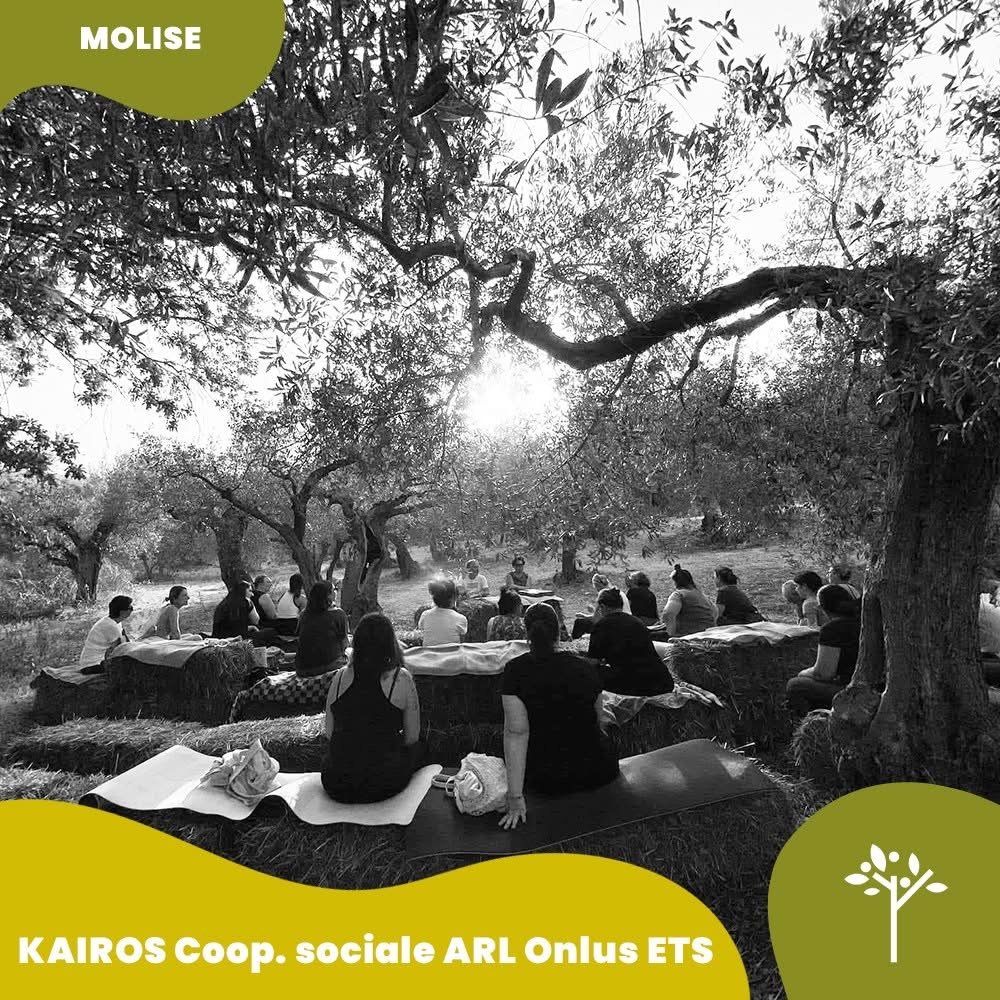 Adipiscing Mattis Pellentesque