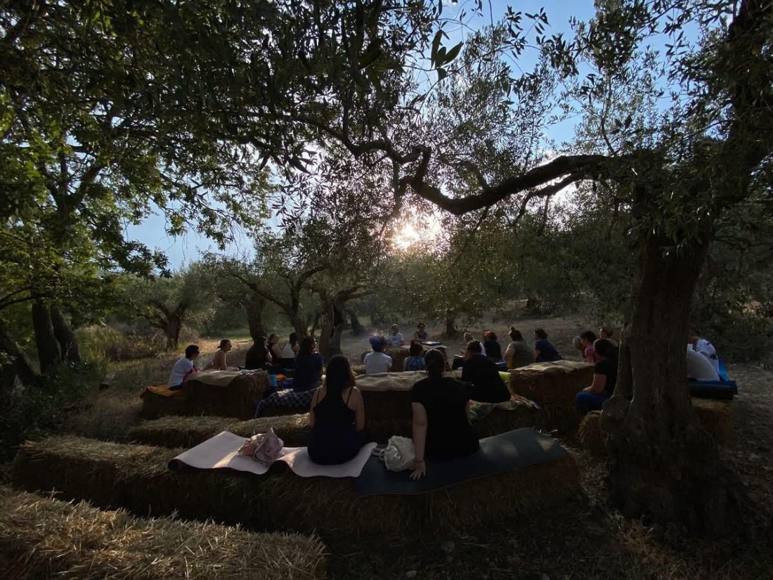 Adipiscing Mattis Pellentesque